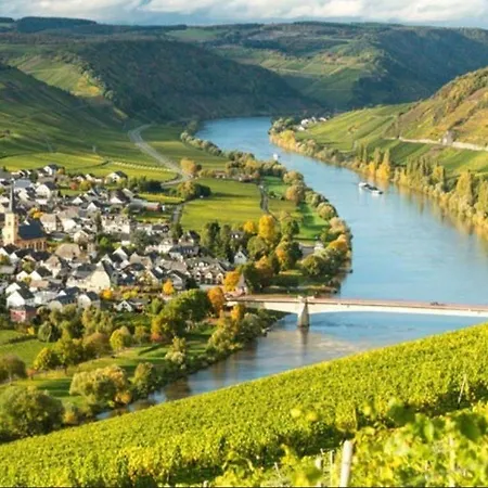 In Apartment Zell an der Mosel