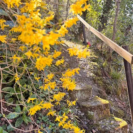 In * Zell an der Mosel