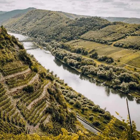 In Lägenhet Zell an der Mosel