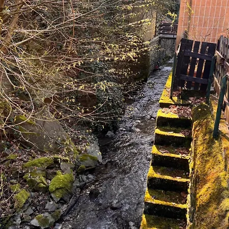 In * Zell an der Mosel